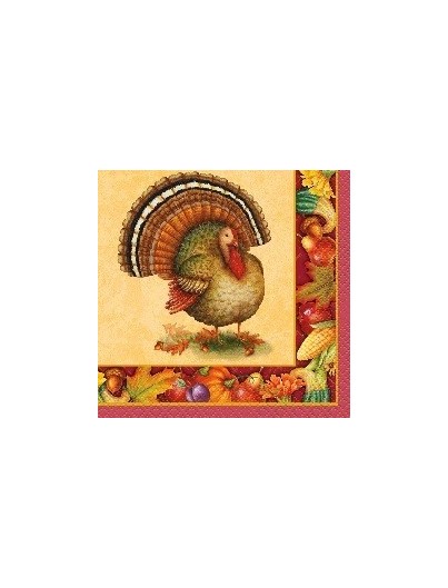 Servilletas Thanksgiving festive turkey pequeñas 16ct Servilletas Thanksgiving festive turkey pequeñas 16ct