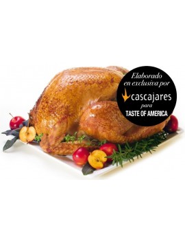 Thanksgiving Day Turkey Pavo