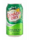 Ginger Ale 355 ml. Canada Dry